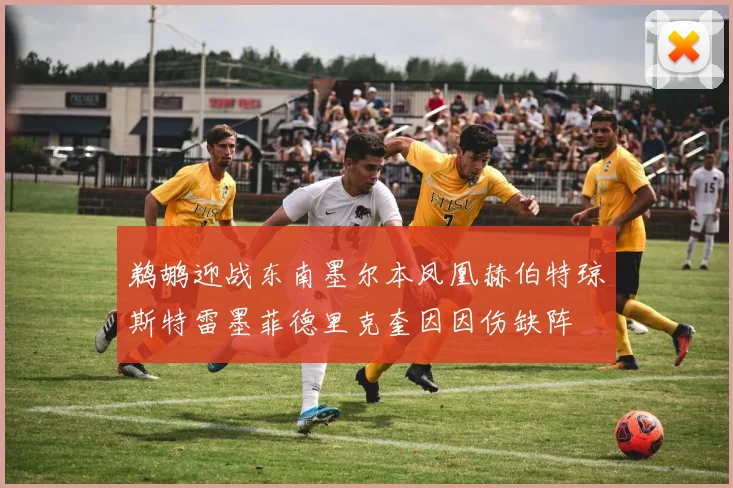 鹈鹕迎战东南墨尔本凤凰赫伯特琼斯特雷墨菲德里克奎因因伤缺阵